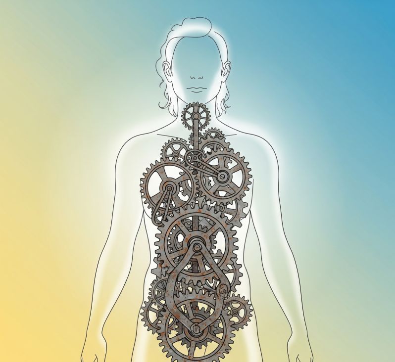 Les 7 Blocages Hormonaux Qui Empêchent Votre Perte de Poids (et Comment les Surmonter)